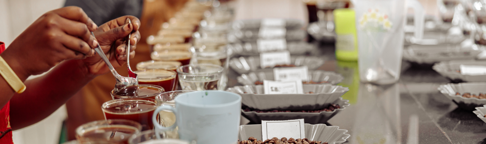 All American Coffee LLC coffee industry experts